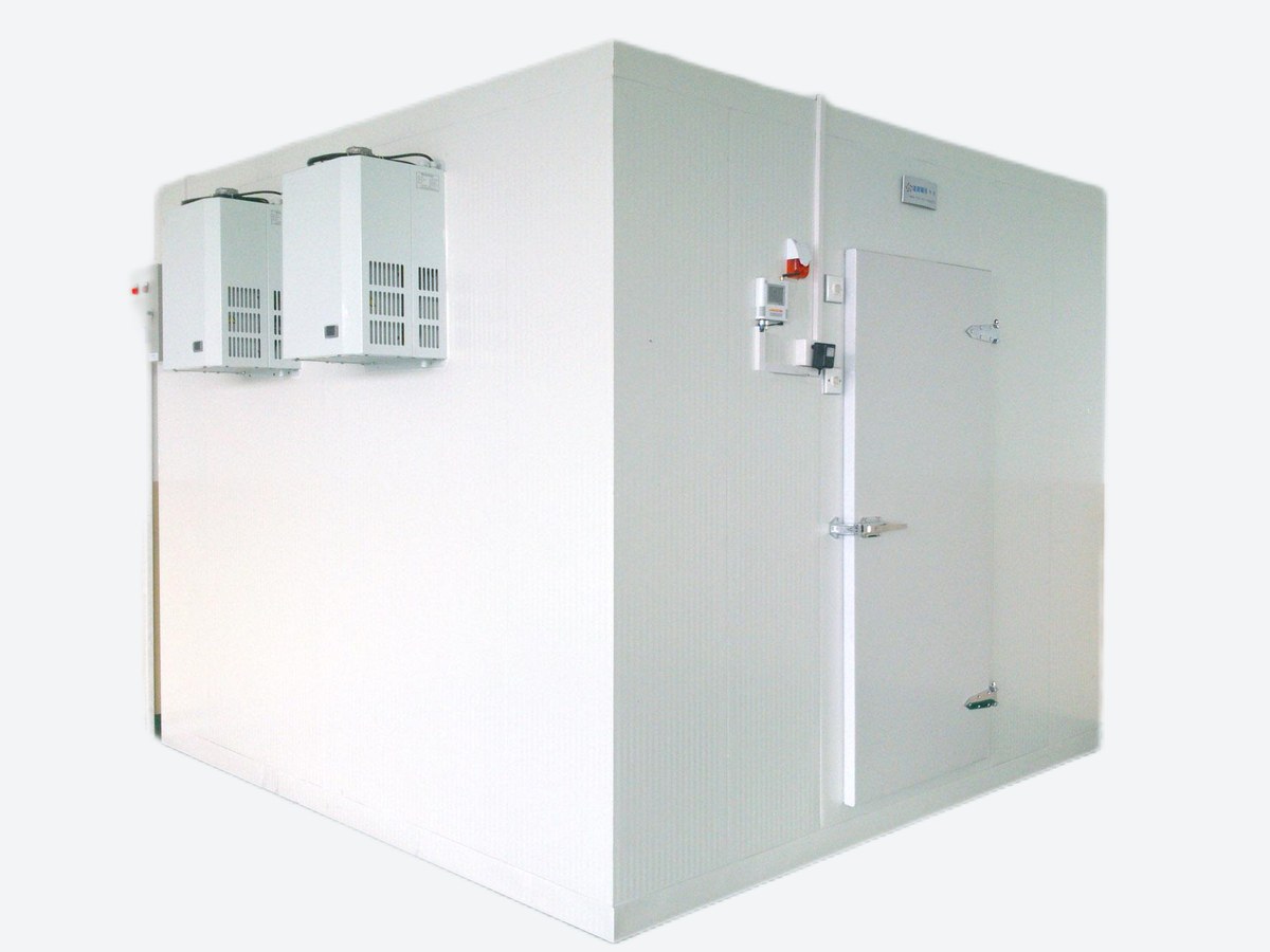 Modular Walk-In Cold Room — Panel-built chillers and freezers to your own dimensions